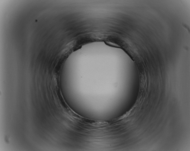 X0000097790128200803070944