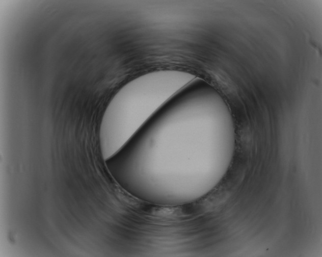 X0000097790129200803070944