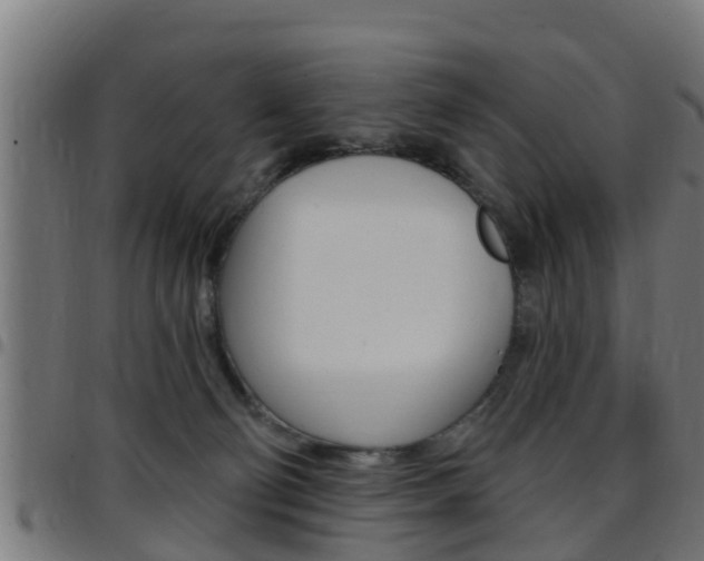 X0000097790130200803070944