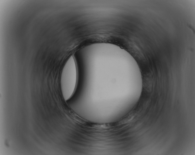 X0000097790131200803070944