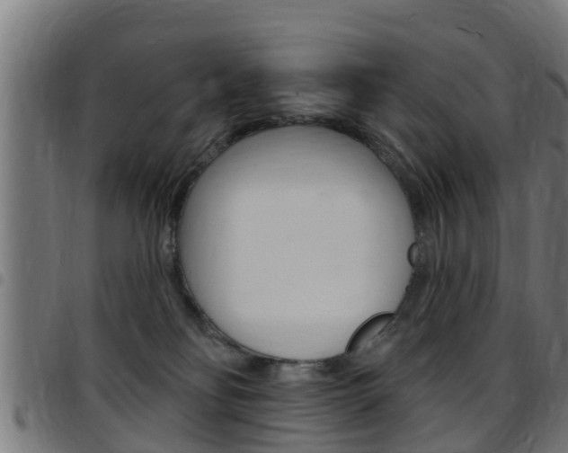 X0000097790134200803070944