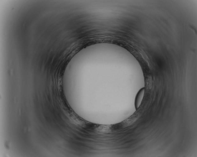 X0000097790138200803070944