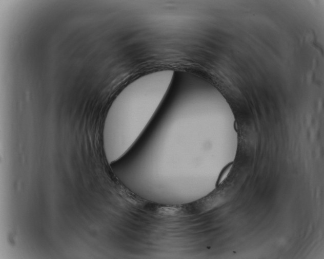 X0000097790139200803070944