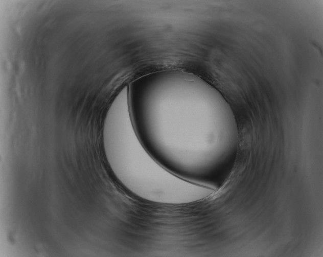 X0000097790140200803070944