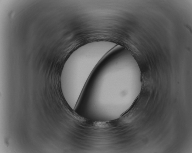 X0000097790141200803070944