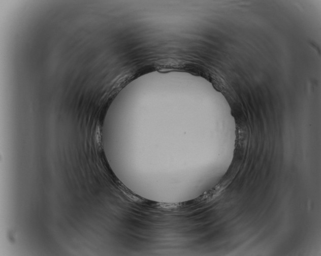 X0000097790143200803070944