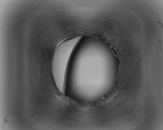 X0000097790144200803070944