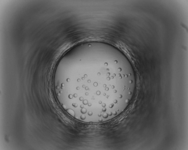 X0000097790145200803070943