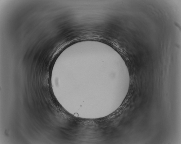 X0000097790146200803070943