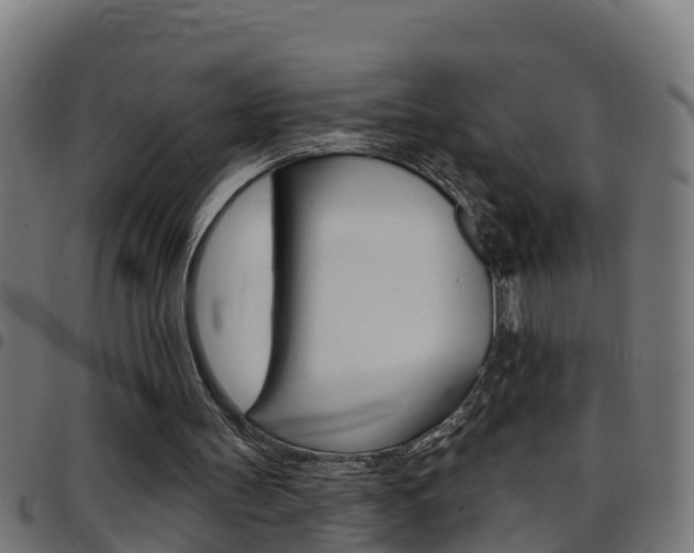 X0000097790147200803070943