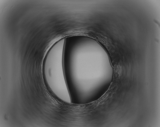 X0000097790148200803070943