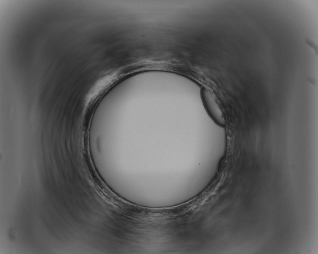 X0000097790149200803070943