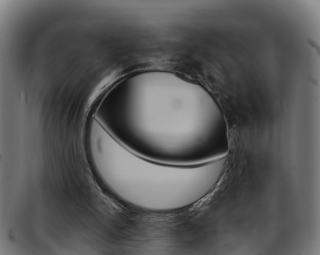 X0000097790150200803070943