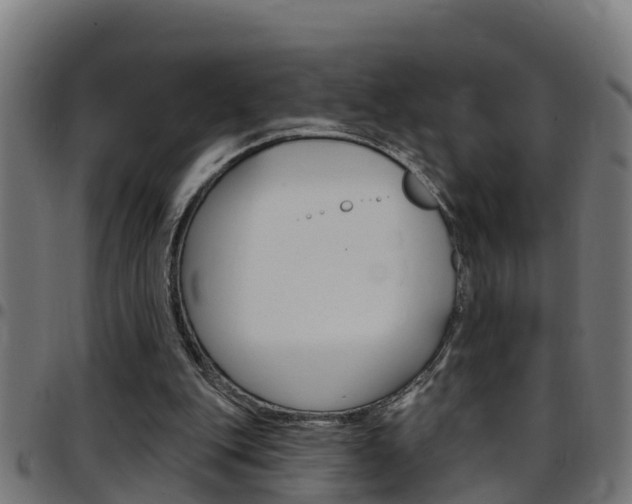X0000097790151200803070943