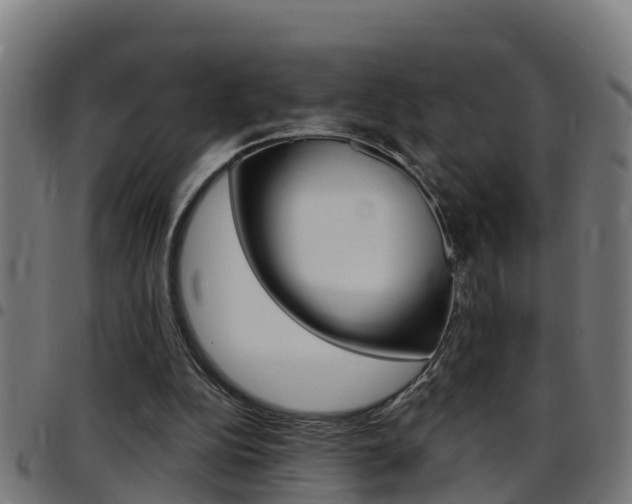 X0000097790152200803070943