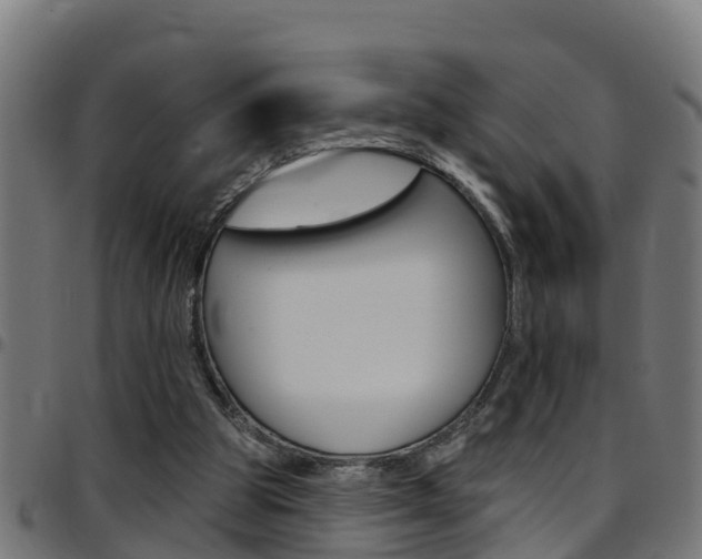 X0000097790153200803070943