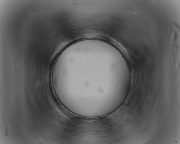 X0000097790155200803070943