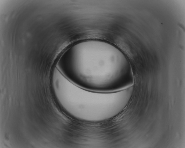 X0000097790156200803070943