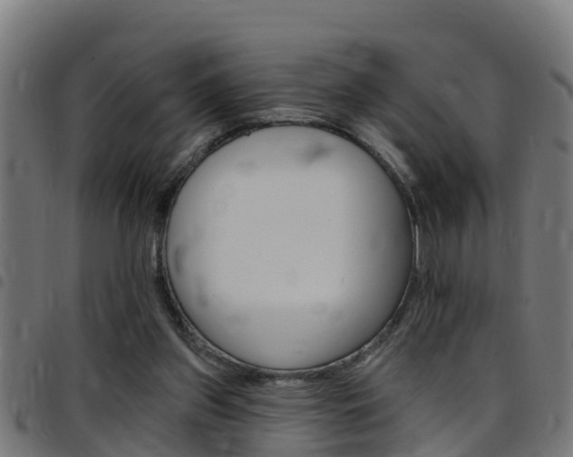 X0000097790157200803070943