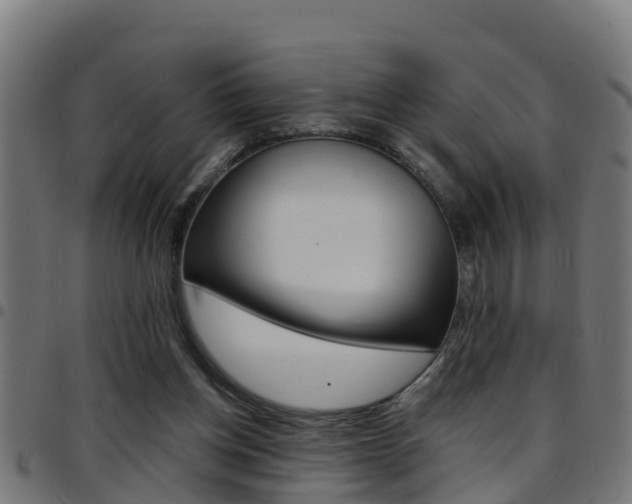 X0000097790158200803070943