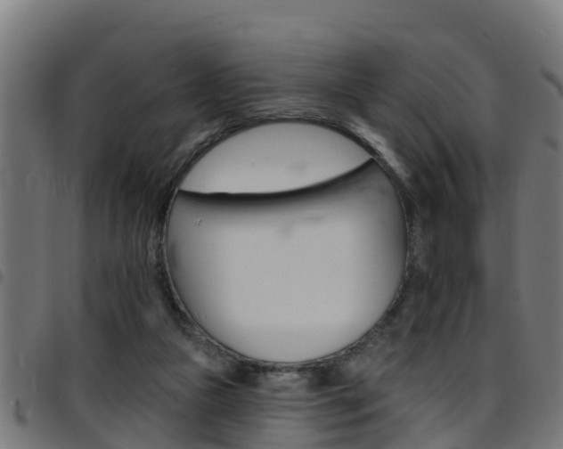 X0000097790161200803070943
