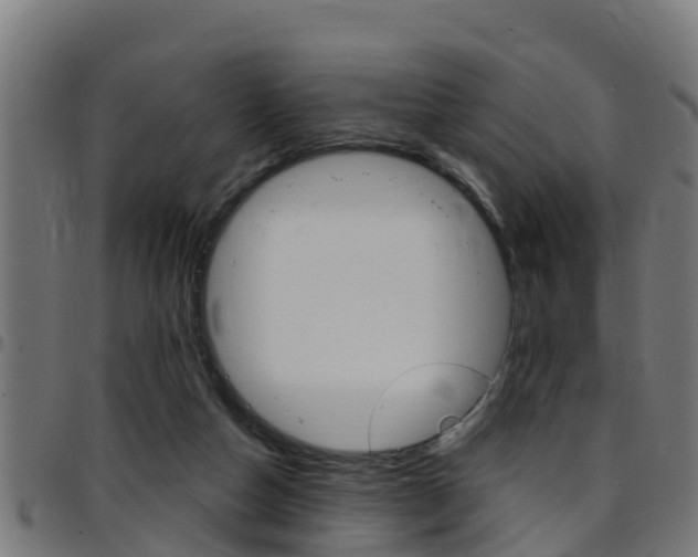 X0000097790162200803070943