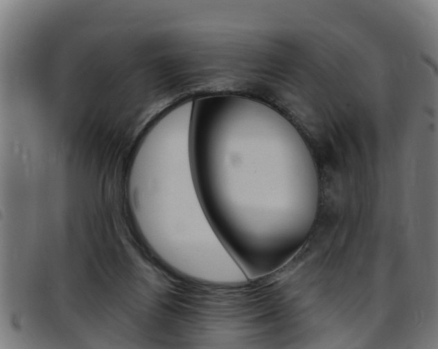 X0000097790164200803070943