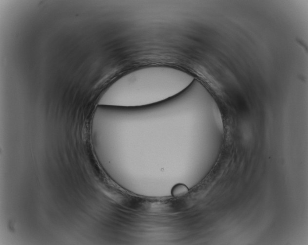 X0000097790165200803070943