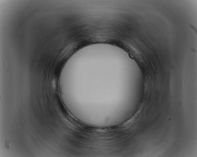 X0000097790166200803070943