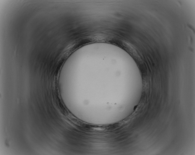 X0000097790167200803070943