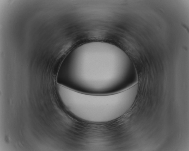 X0000097790168200803070943