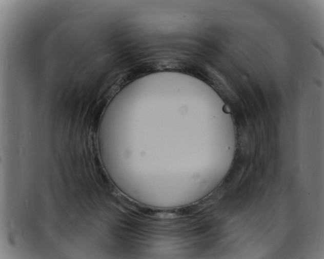 X0000097790169200803070943