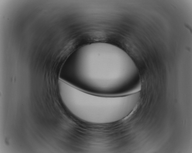 X0000097790170200803070943
