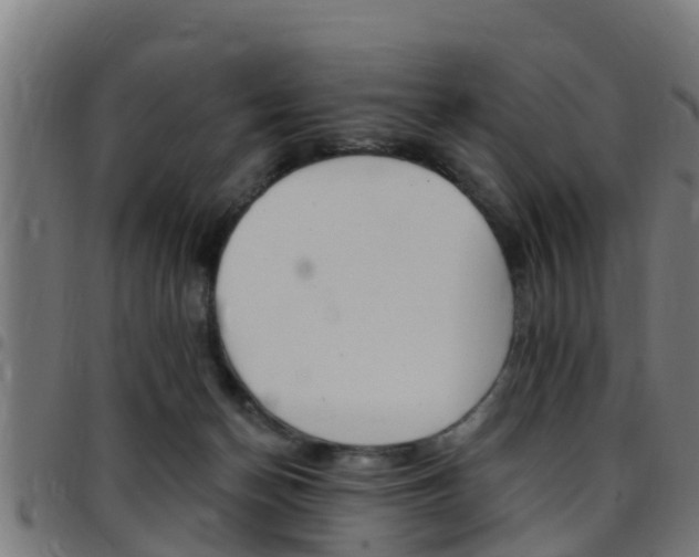 X0000097790174200803070943