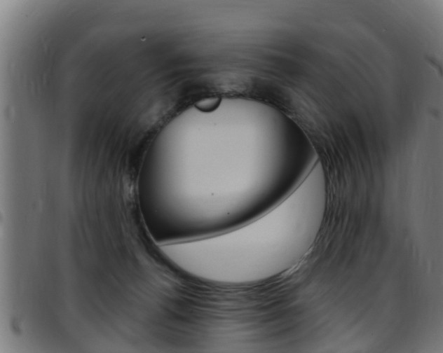 X0000097790176200803070943