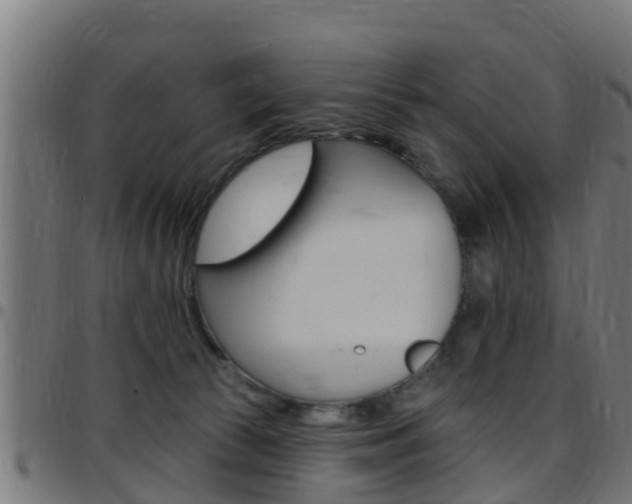X0000097790177200803070943