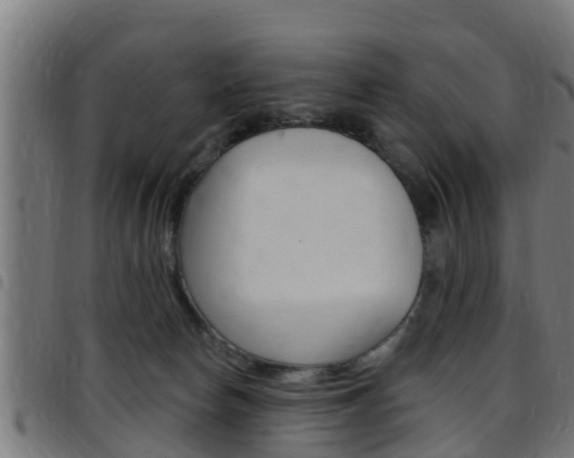 X0000097790178200803070943