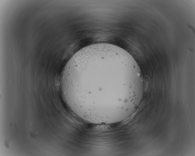 X0000097790179200803070943