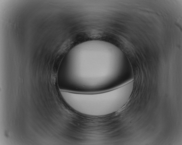 X0000097790180200803070943