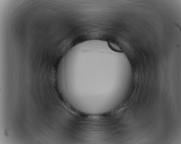 X0000097790181200803070943