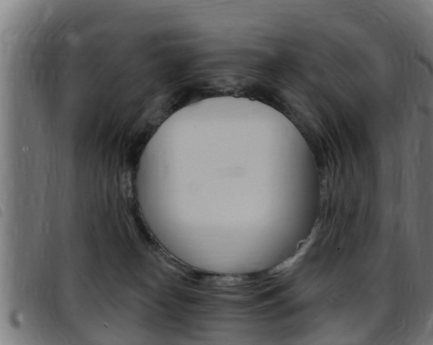 X0000097790182200803070943