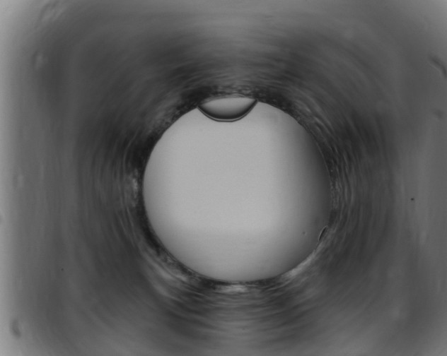 X0000097790183200803070943
