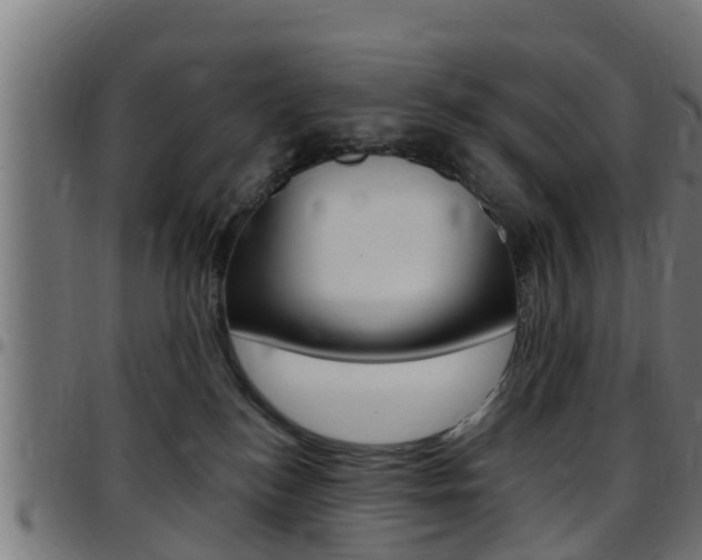 X0000097790184200803070944
