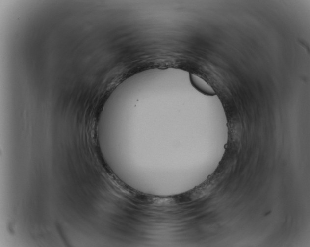 X0000097790185200803070944