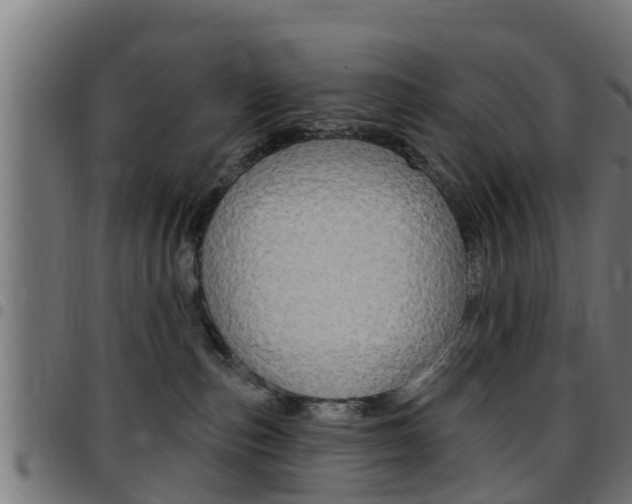 X0000097790187200803070944