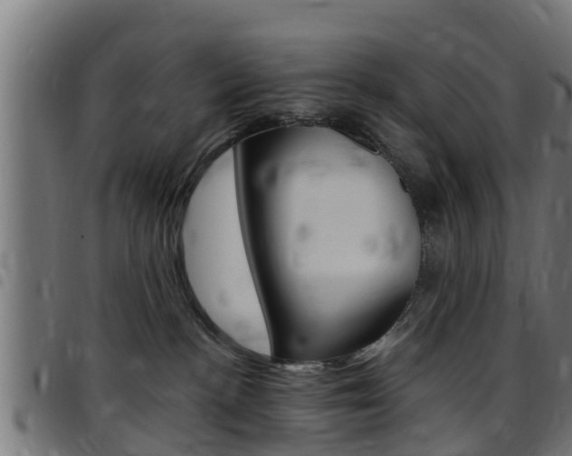 X0000097790188200803070944