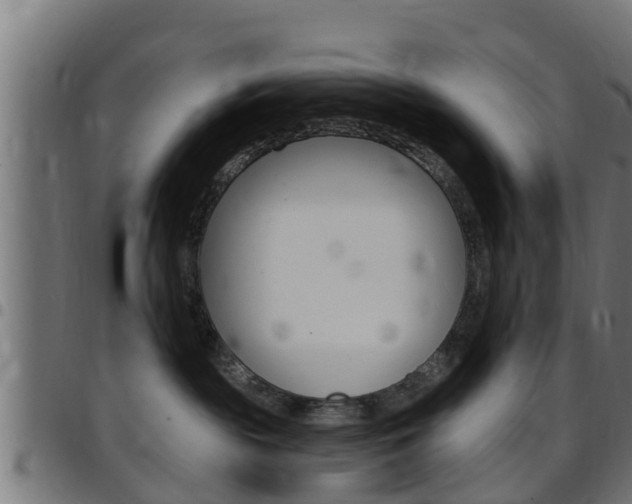 X0000097790189200803070944