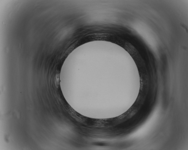 X0000097790190200803070944