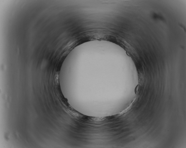 X0000097790191200803070944