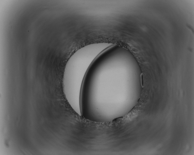 X0000097790192200803070944